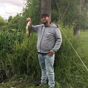 Meet your Posher, Rudy